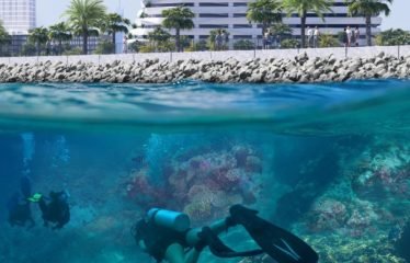 Coral Reef
